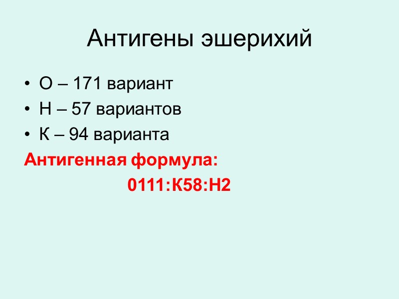 Антигены эшерихий О – 171 вариант Н – 57 вариантов К – 94 варианта
